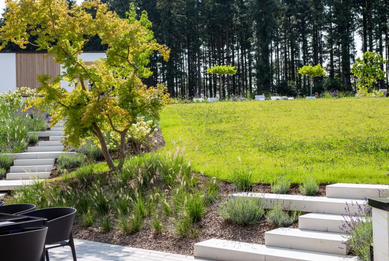 Aménagement de la plantation 