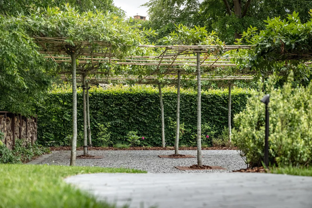 carport_vegetal_sur_mesure_signe_jean.10.jpg