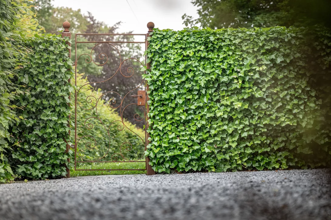 carport_vegetal_sur_mesure_signe_jean.2.jpg